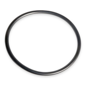 O-Ring Case 83904858