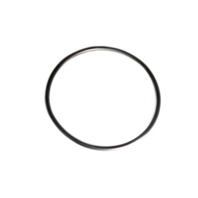 Dichtungstraeger Case 83925949