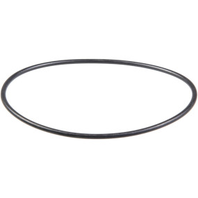 O-Ring Case 83926596