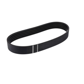Riemen Case 84072772