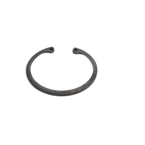 Sprengring Case 84163829