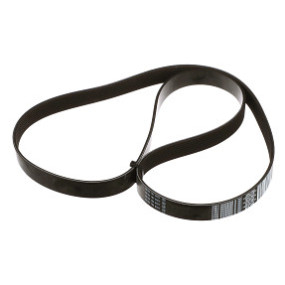 Riemen Case 84229205