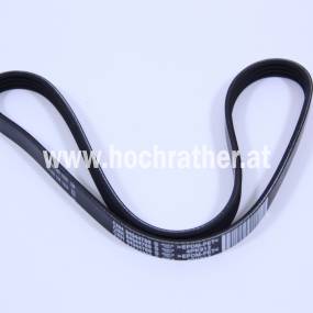 Riemen Case 84344769