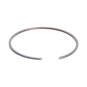 Sprengring Case 84392873