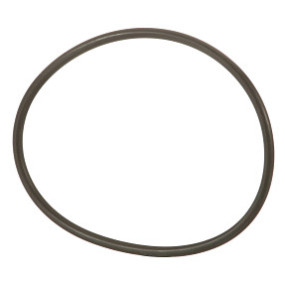 O-Ring Case 84417142