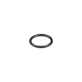 O-Ring Case 84432615