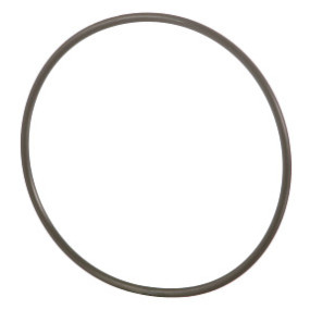 O-Ring Case 84550359