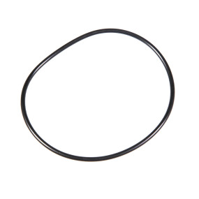 O-Ring Case 84559949