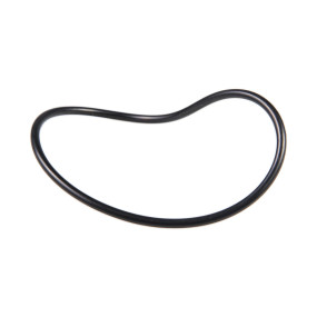 O-Ring Case 84559951
