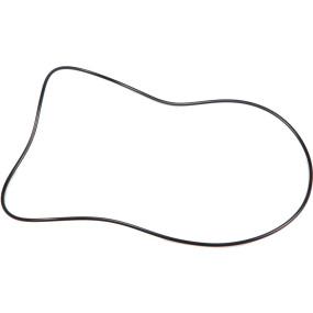 O-Ring Case 84559973