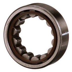 Rollenlager Case 84560159