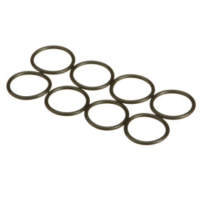 O-Ring Case 84579780