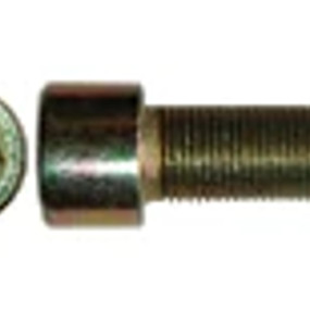 Innensechskantschrau (864-10020) Case