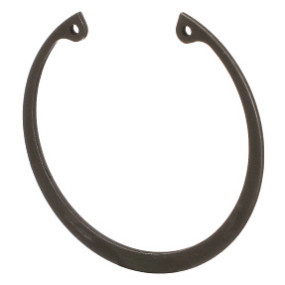 Sprengring Case 86502284