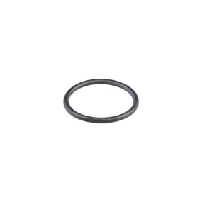 O-Ring Case 87304661