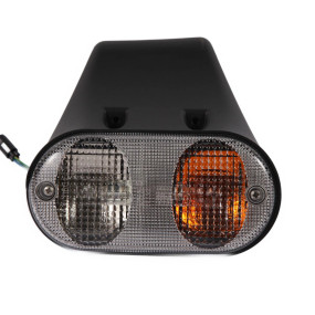 Anzeigeleuchte Case 87313298