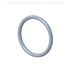 O-Ring Case 87332790
