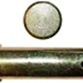 Bolzen Case 87344040