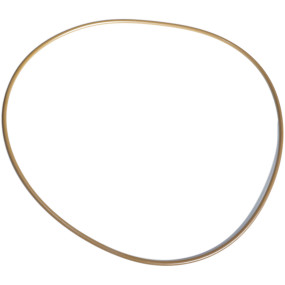 O-Ring Case 87345122