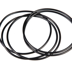 O-Ring Case 87421147