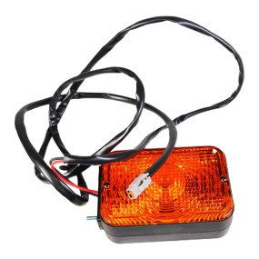 Light Assy. Case 87444301