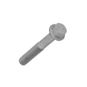 Schraube Case 87558079