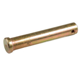 Bolzen Case