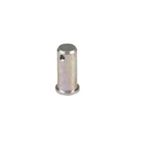 Bolzen Case 87705648
