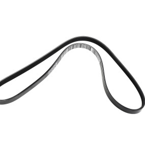 Riemen Case 87710660