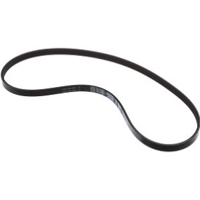 Riemen Case 87710661