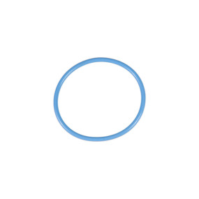 O-Ring Case 87802625