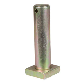 Bolzen Case BN300279