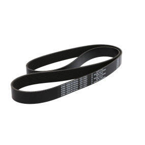 Riemen (J911587) Case