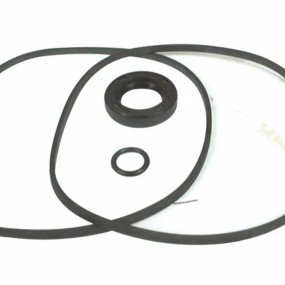 Dichtungssatz (K962136Gv) Case