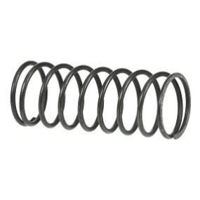 Feder Case 1263125C1