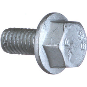 Schraube Case 16585625