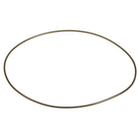 O-Ring Case 233561A1