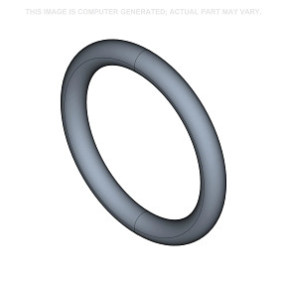 O-Ring  Case 238-5115