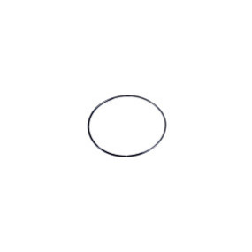 O-Ring Case 321360A1