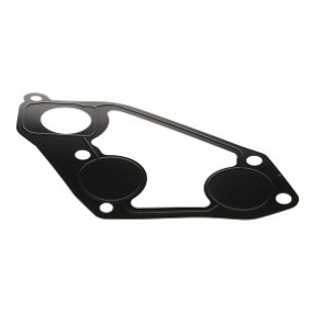 Dichtung Case 386347A1