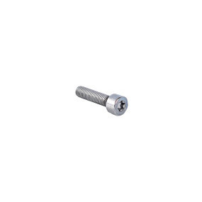 Schraube Case 42556819