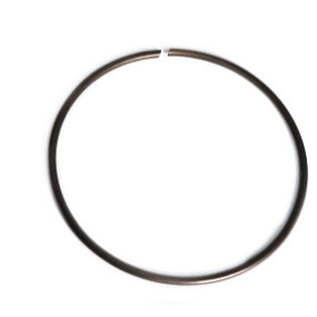 Sprengring Case 5144584