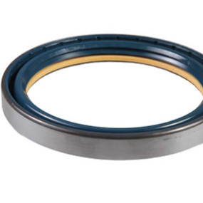 Dichtung Case 5165506