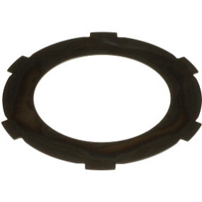 Sicherungsplatte Case 5185916