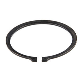 Sprengring Case 5198582