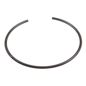 Sprengring Case 5198583