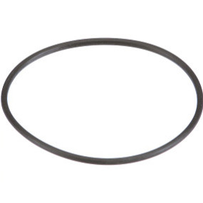 O-Ring Case 84483961