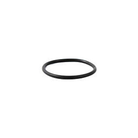 O-Ring Case 87338651
