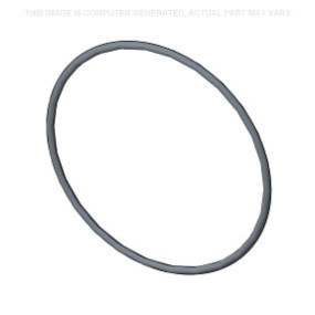 O-Ring Case 87350420