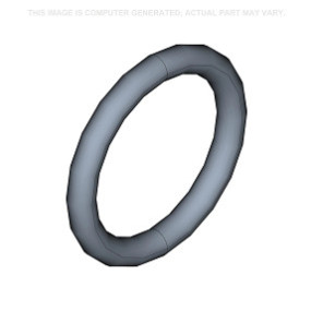 O-Ring Case 87643567